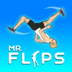 Mr Flip - Free Online Games on XoomGames | Play Instantly